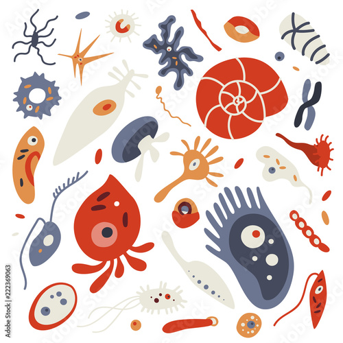 Set of different microscopic organisms. Collection of bacterias