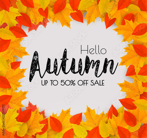 Autumn Sales Frame With Colorful Leaves. Vector.