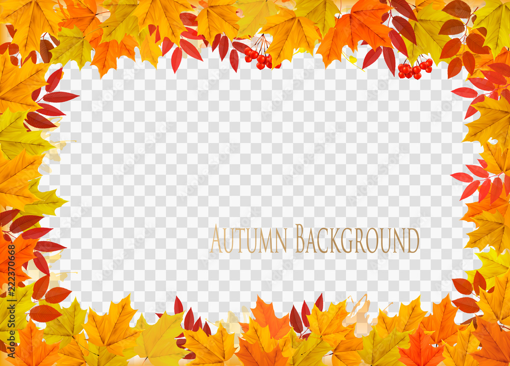 Obraz premium Abstract autumn frame with colorful leaves on transparent background. Vector