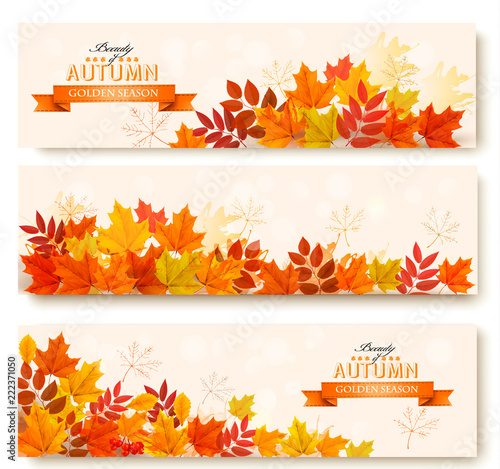 Three abstract autumn banners with colorful leaves. Vector