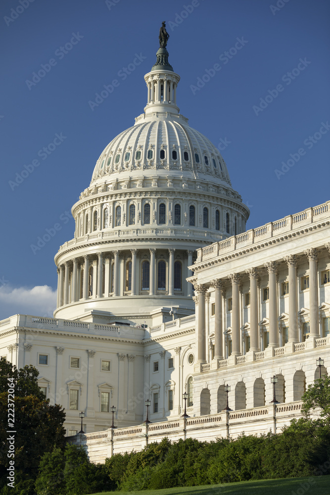 Obraz premium United States Capitol and the Senate Building, Washington DC USA