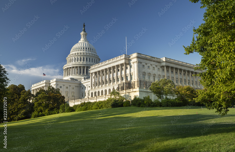 United States Capitol and the Senate Building, Washington DC USA