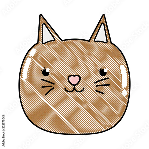 grated happy cat head nice animal