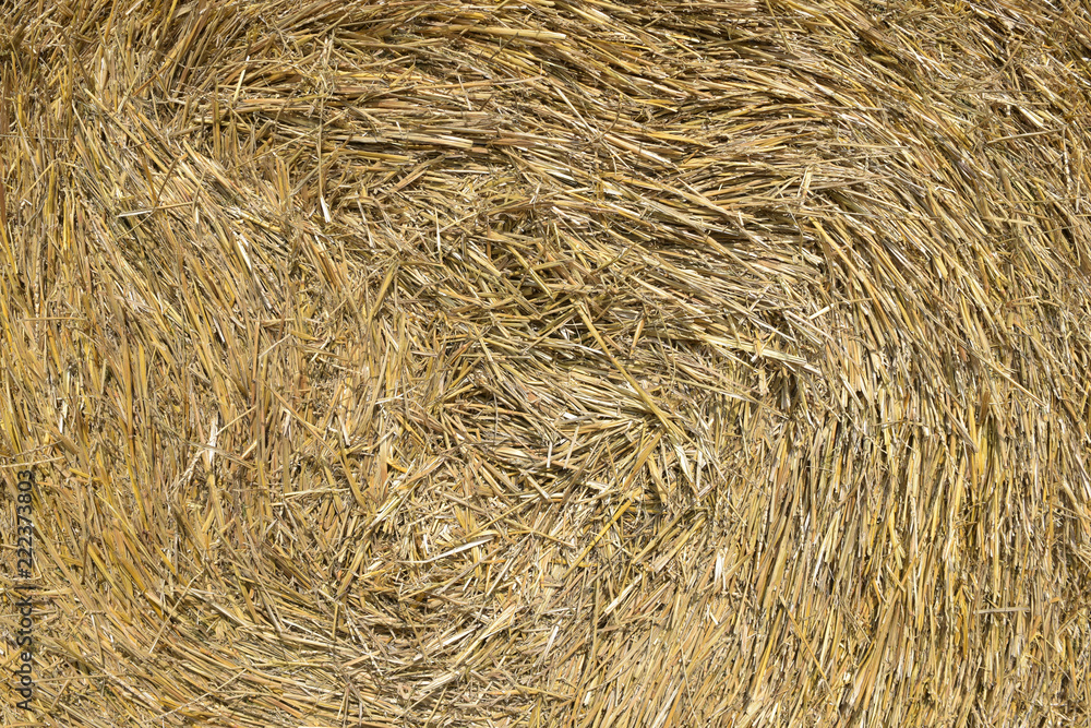Golden straw closeup texture background Golden straw closeup texture background