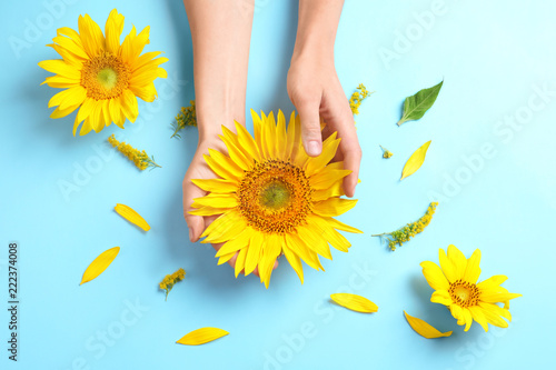Fototapeta Naklejka Na Ścianę i Meble -  Woman holding beautiful sunflower on color background, top view