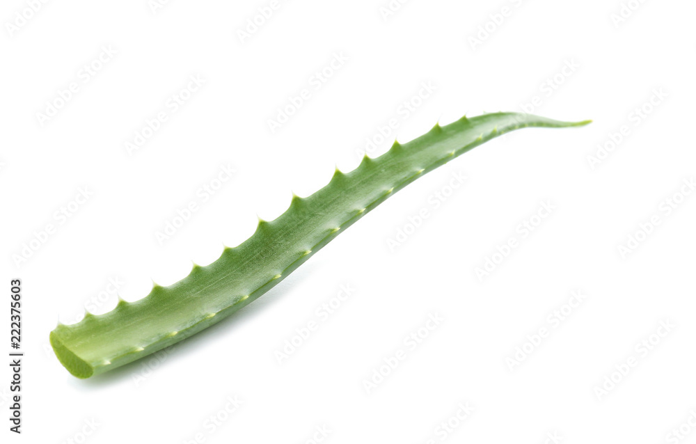 Naklejka premium Aloe vera leaf on white background