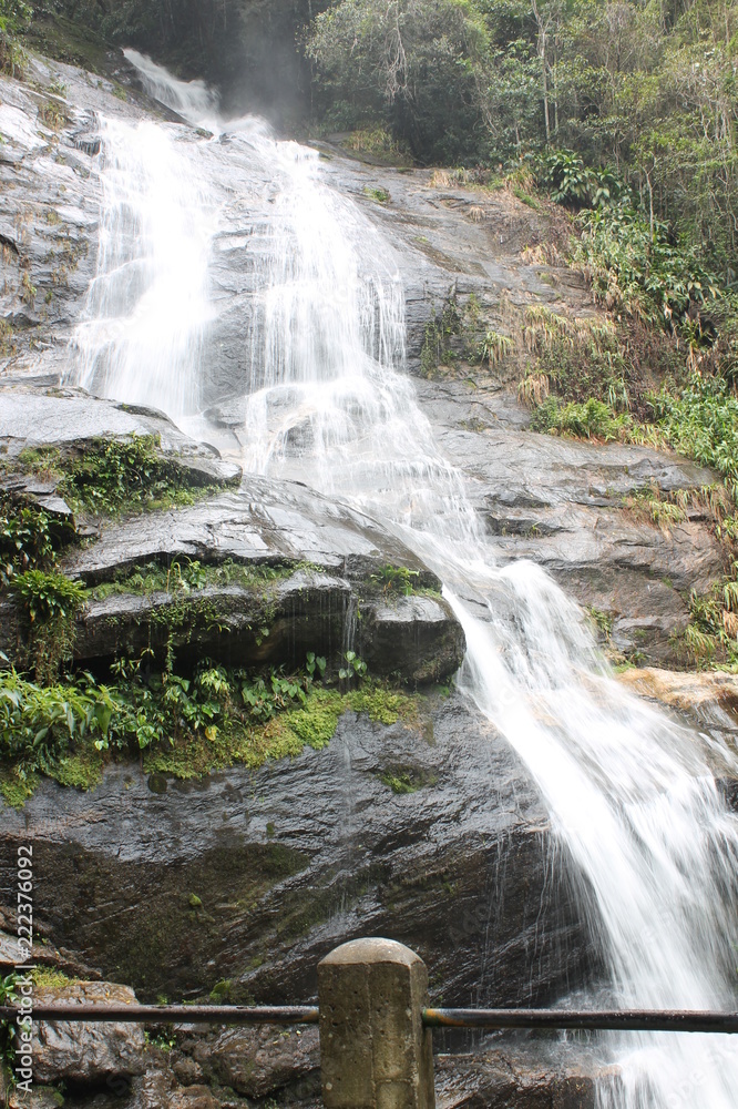 Fototapeta premium cascada
