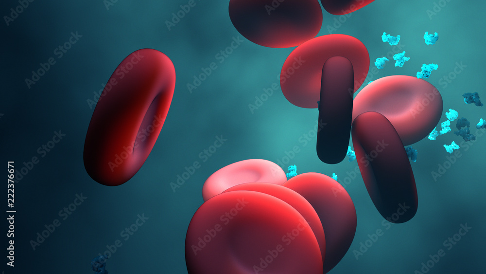 Universal blood , red blood cells with enzyme Stock Photo | Adobe Stock