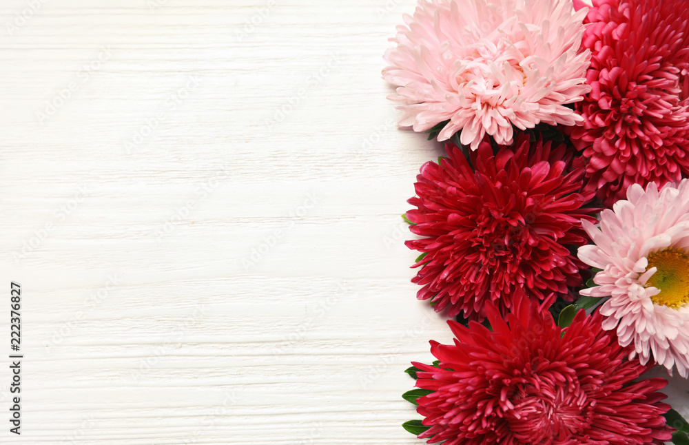 Beautiful aster flowers and space for text on wooden background, flat lay Beautiful aster flowers and space for text on wooden background, flat lay