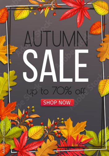 Seasonal autumn banner
