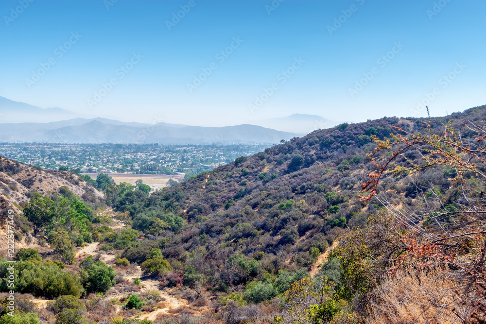 Deep brush and tall trees cover foothills above the inland city of Southern California