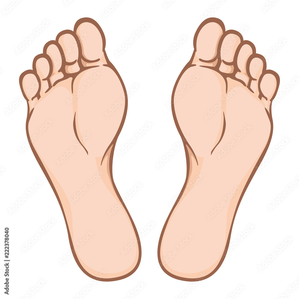 Illustration of body part, plant or sole of foot, Caucasian. Ideal for