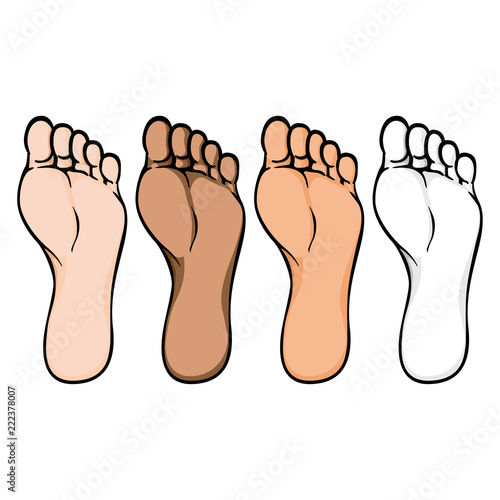 Illustration of body part, plant or sole of right foot, ethnic. Ideal for catalogs, information and institutional material