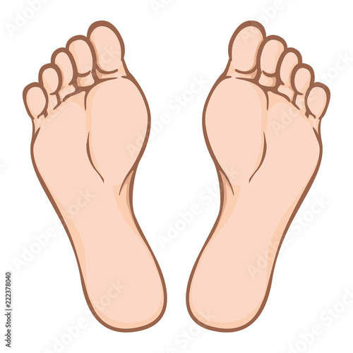 Illustration of body part, plant or sole of foot, Caucasian. Ideal for catalogs, information and institutional material