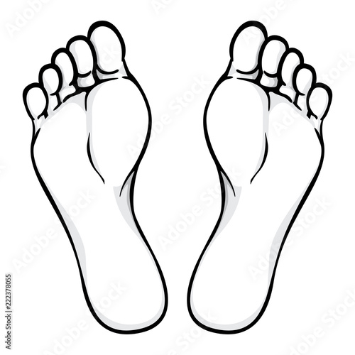 Illustration of body part, plant or sole of foot, Black white. Ideal for catalogs, information and institutional material
