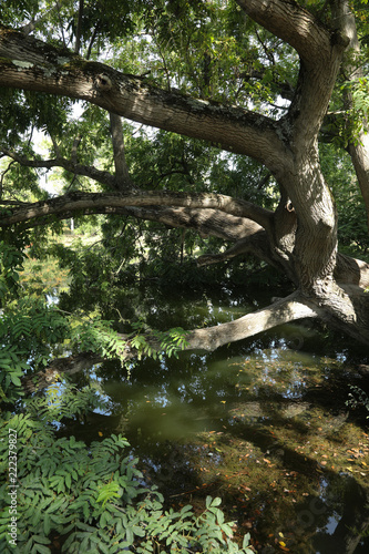 bois de boulogne