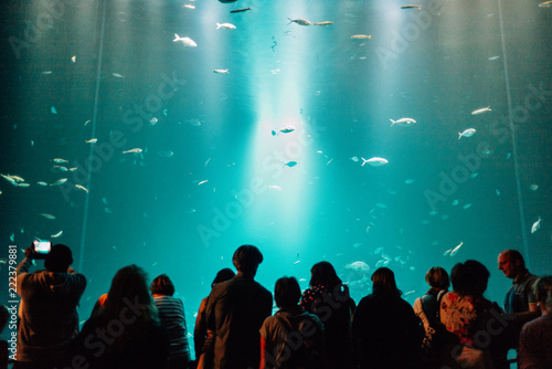 Ozeaneum Stralsund