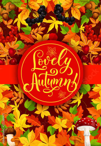 Lovely autumn poster with fall leaf and berry