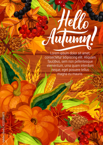 Hello autumn poster with pumpkin and corn harvest