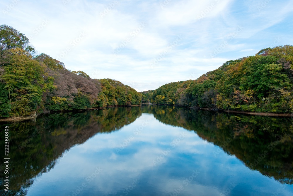 秋色に染まる湖畔の情景