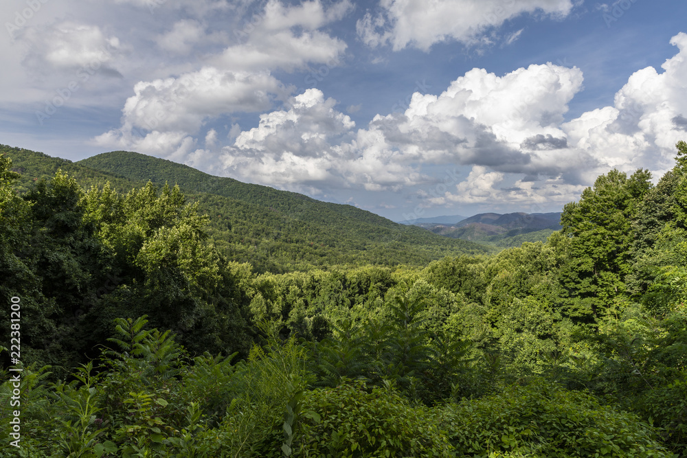 Smoky Mountains Scenic Landscape 