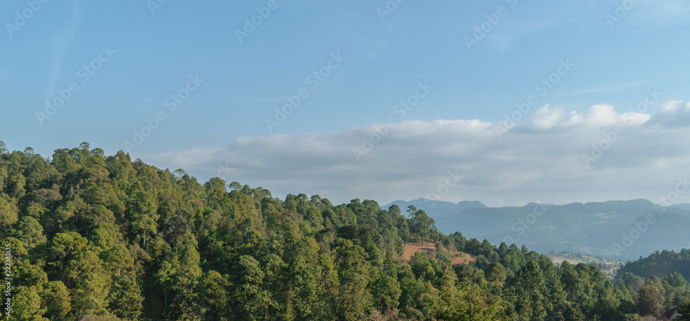 Landscape of trees, mountains and sky