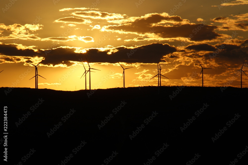 Fototapeta premium wind turbines at sunset