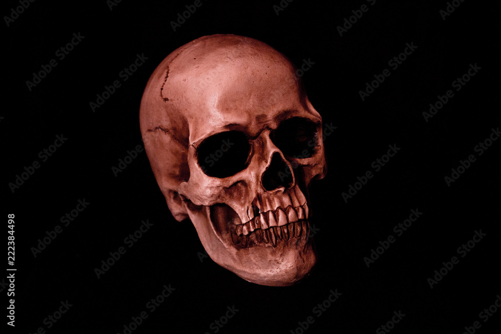 Human Red Skull on Dark Solid Background Human Red Skull on Dark Solid Background