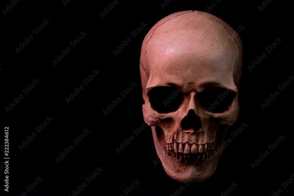 Red Skull on Dark Solid Background Red Skull on Dark Solid Background