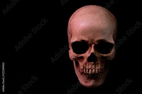 Red Skull on Dark Solid Background