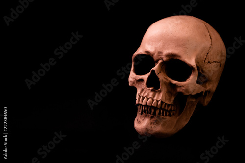 Human Size Skull on Dark Solid Background
