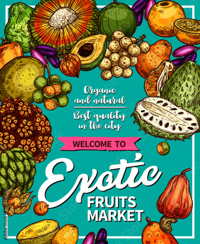 Exotic fruits farm market vector sketch poster
