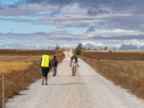 Pilgrims walk on the old Roman road known as the Via Aquitana - Calzada Romana, Castile and Leon, Spain