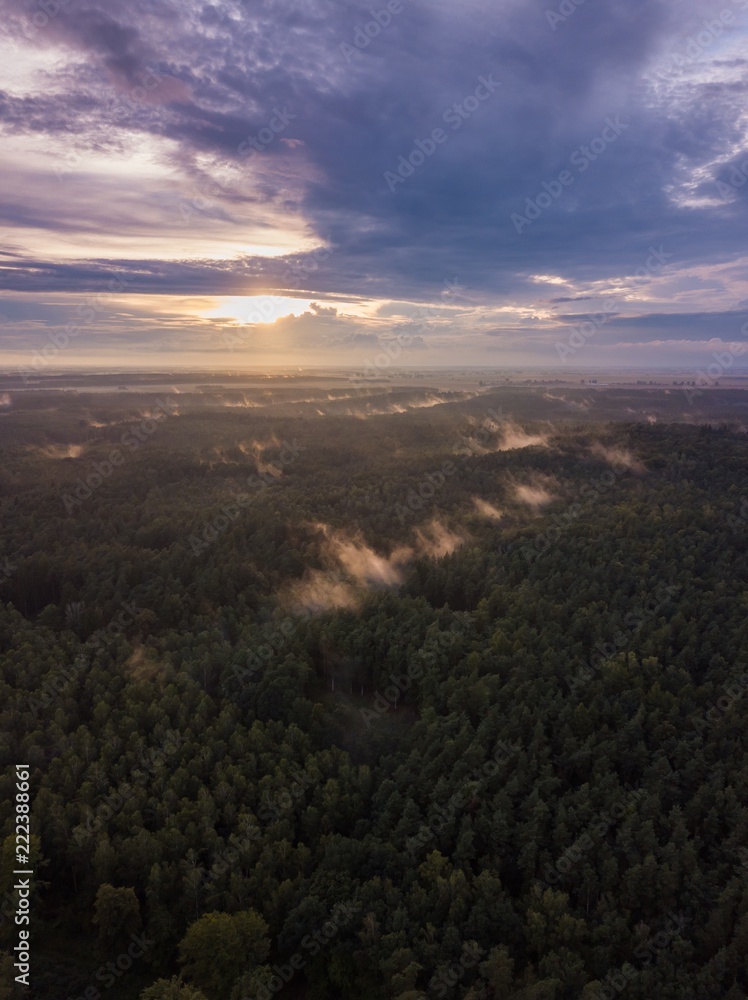 Beautfiful summer sunset over foggy european forest