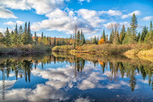 Fall colours