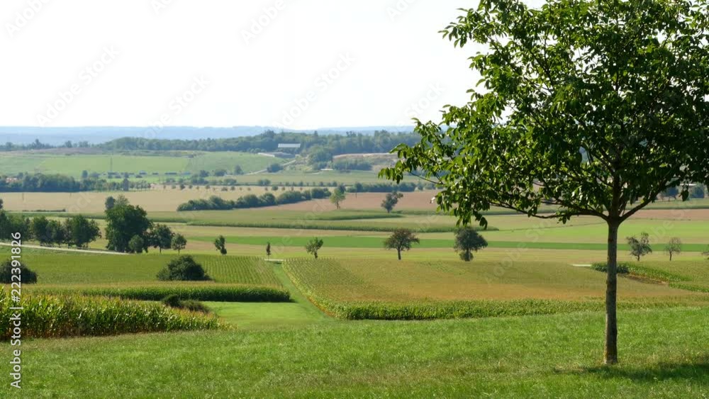 Beautiful scenery of a rural European countryside. Meadows and fields in bright green colors