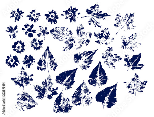 Set of prints autumn leaves
