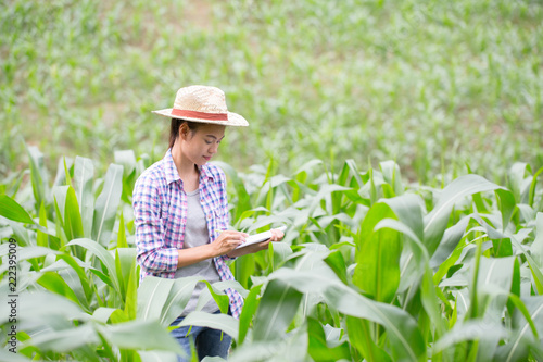 Agronomist examining plant in corn field, farmer analyzing corn plant.
