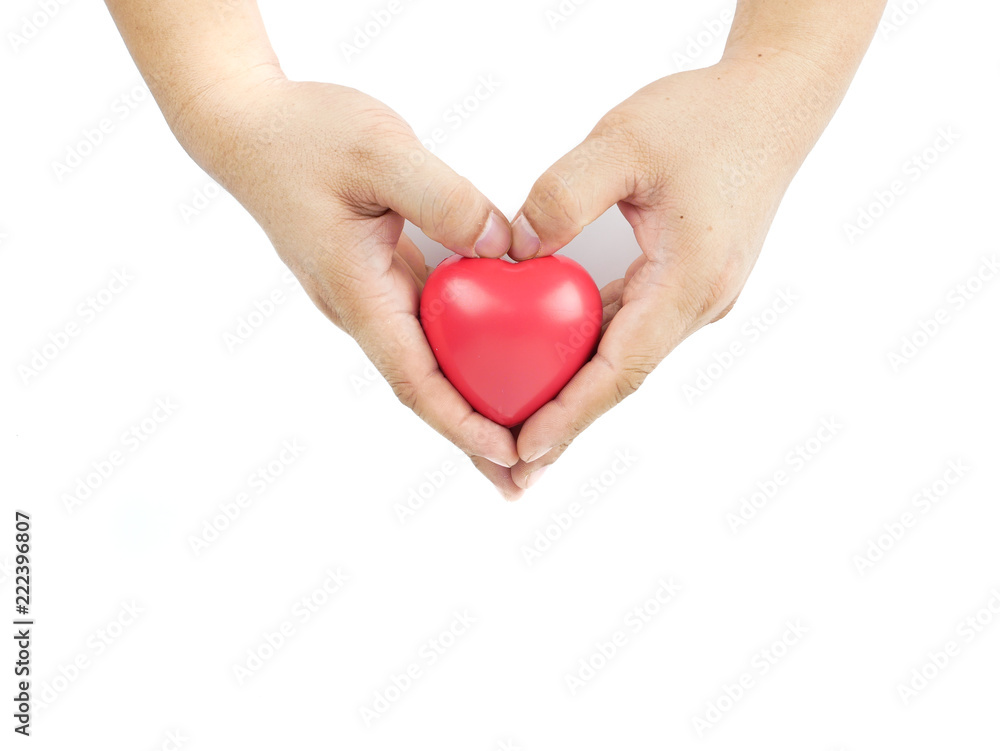 Red heart artificial model on two hand, isolated on white background, concept heart disease awareness and Health care Red heart artificial model on two hand, isolated on white background, concept heart disease awareness and Health care