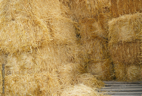 close up on stacking dry hay in the farm barn