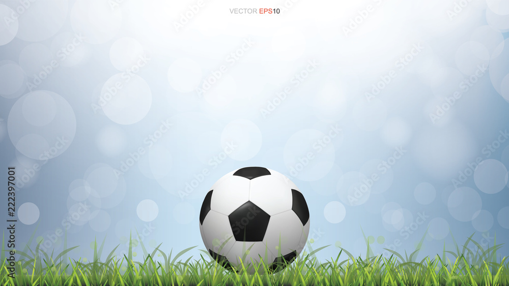 Fototapeta Soccer football ball on green grass field with light blurred bokeh background. Vector.