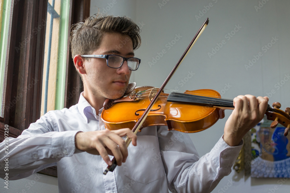 portrait of a young violinist