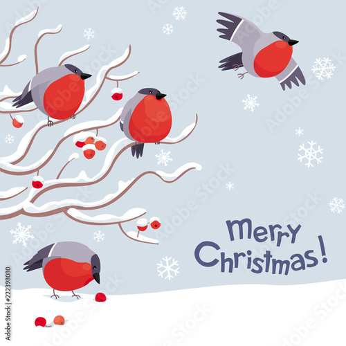 Vector bullfinches and rowan Christmas image