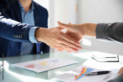 Businessman Shaking Hands With His Partner photo