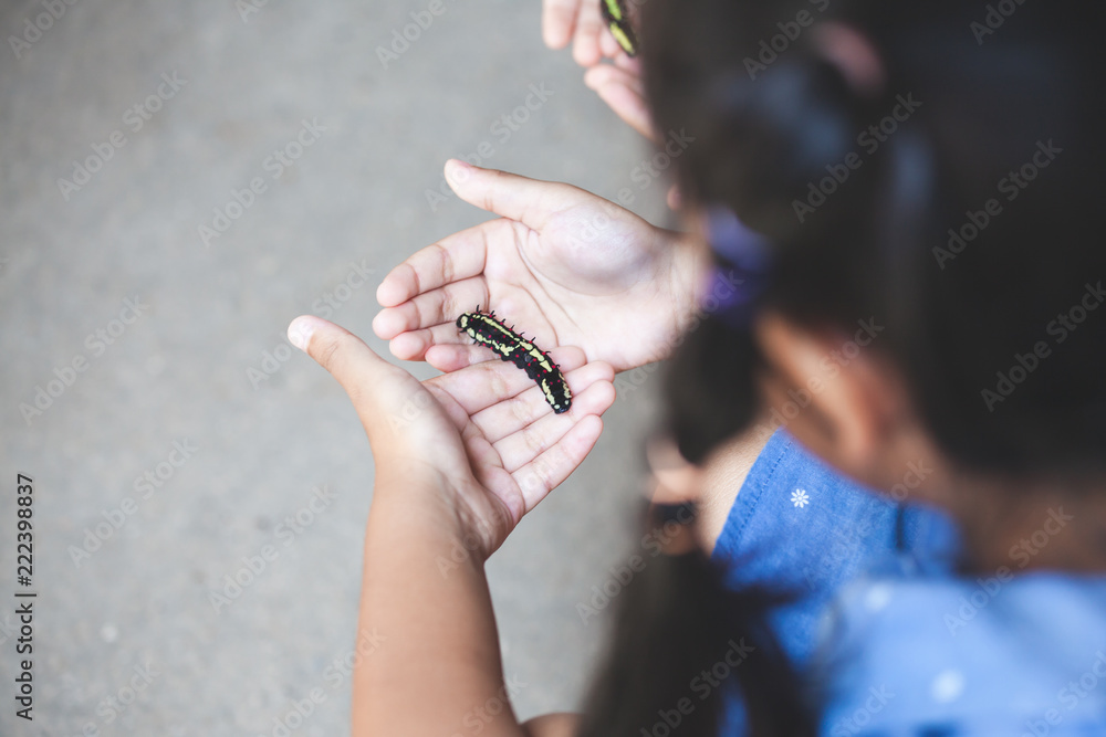 Fototapeta premium Black caterpillar crawling on child hand. Child girl holding and playing with black caterpillar with curious and fun.