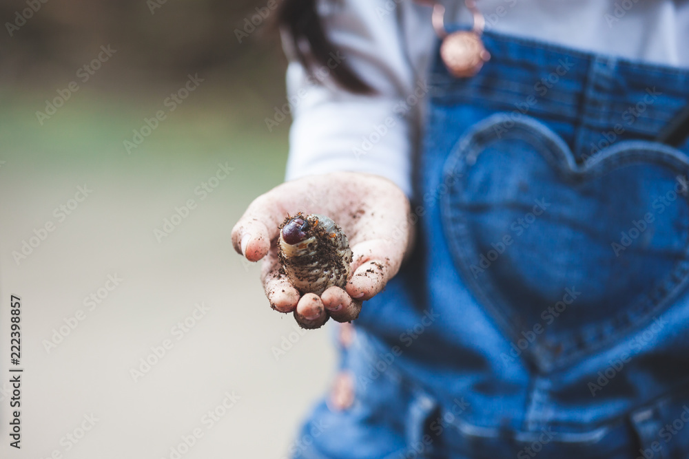 Asian child girl holding rhinoceros beetle larvae on hand with curious and fun