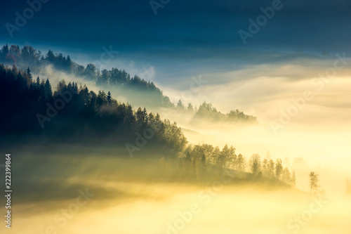 deep fog above the valley at sunrise. beautiful autumn background in mountains. lovely nature abstract scenery