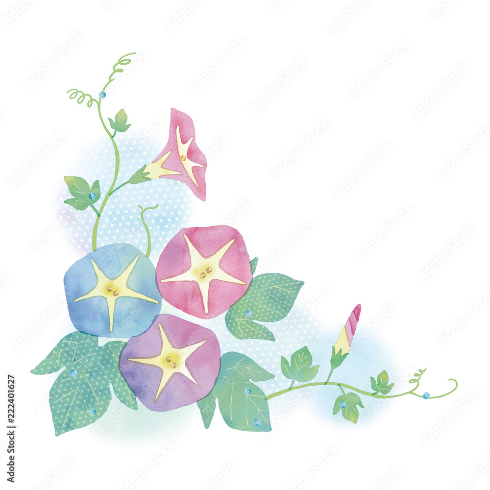 あさがおのイラスト Stock イラスト Adobe Stock あさがおのイラスト Stock イラスト Adobe Stock