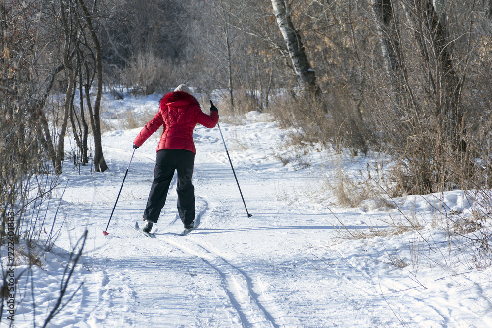 The view from the back of the woman in a red jacket and black pants is skiing. Snowy background with skis between trees and copyspace. The view from the back of the woman in a red jacket and black pants is skiing. Snowy background with skis between trees and copyspace.