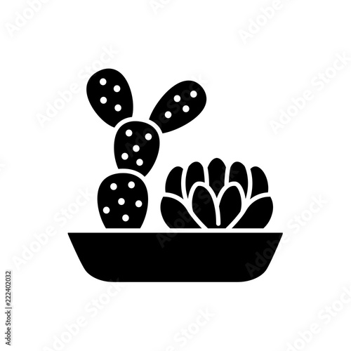 Vector illustration of cactus garden. Flat icon of 2 desert succulent plants in the pot. Isolated object on white background. Home decor element.